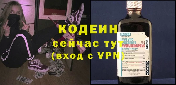 молекула духа Няндома