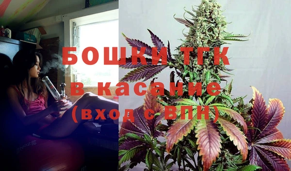 индика Бутурлиновка
