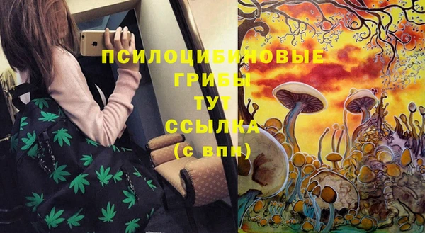 спайс Осташков