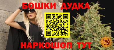 ПСИЛОЦИБИНОВЫЕ ГРИБЫ Апшеронск
