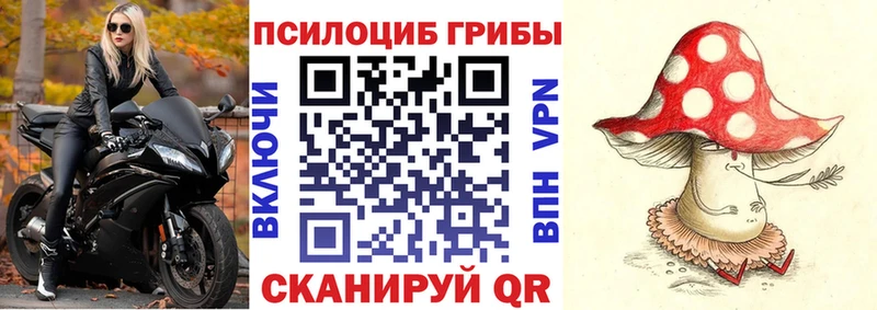 где купить наркотик Барнаул Псилоцибиновые грибы прущие грибы