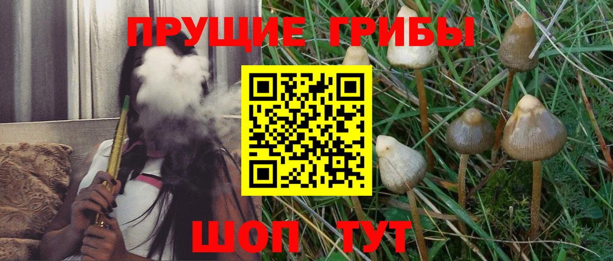 Псилоцибиновые грибы Psilocybine cubensis  дарнет шоп  Барнаул 