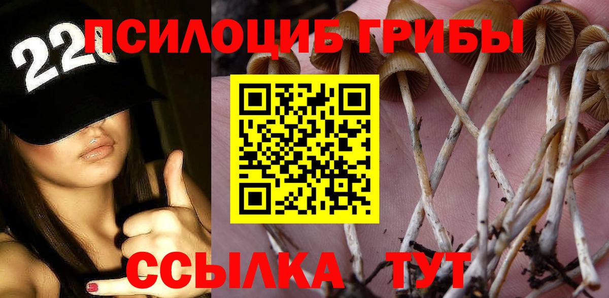 Псилоцибиновые грибы Cubensis Барнаул